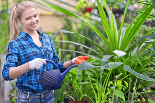 Gardener inspecting a garden bed