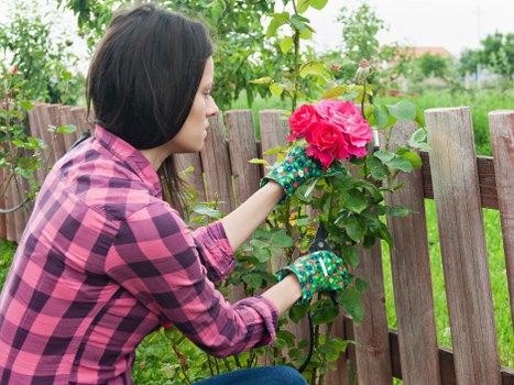 Site risk assessment being noted by a gardener near hedges