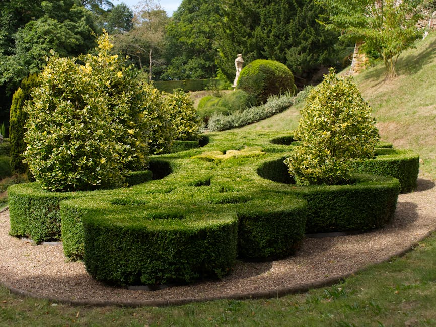 A meticulously maintained garden area featuring a circular design with neatly trimmed boxwood hedges forming a border around a central lawn. Several sculpted, rounded shrubbery plants with dense, dark