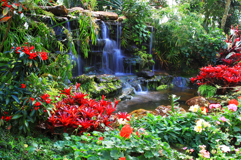 Privacy Perfected: Find Out Which Tall-Potted Plants Elevate Your Outdoor Spaces